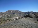 IMG_1677